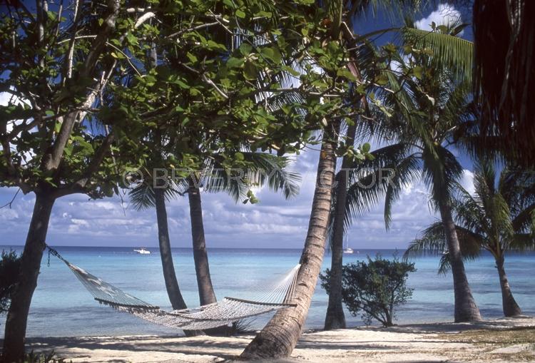 Islands;Hawaii;Palm trees;blue water;sky;hammock